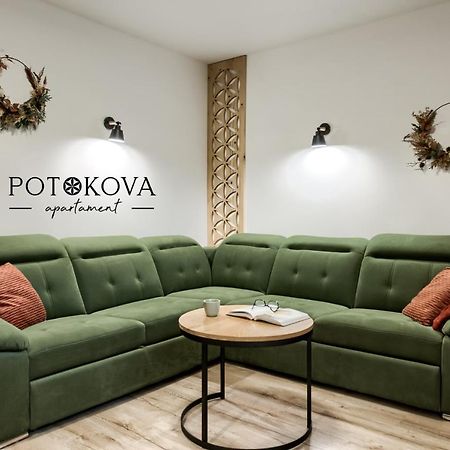 Potokova Apartament Centrum Закопане Экстерьер фото