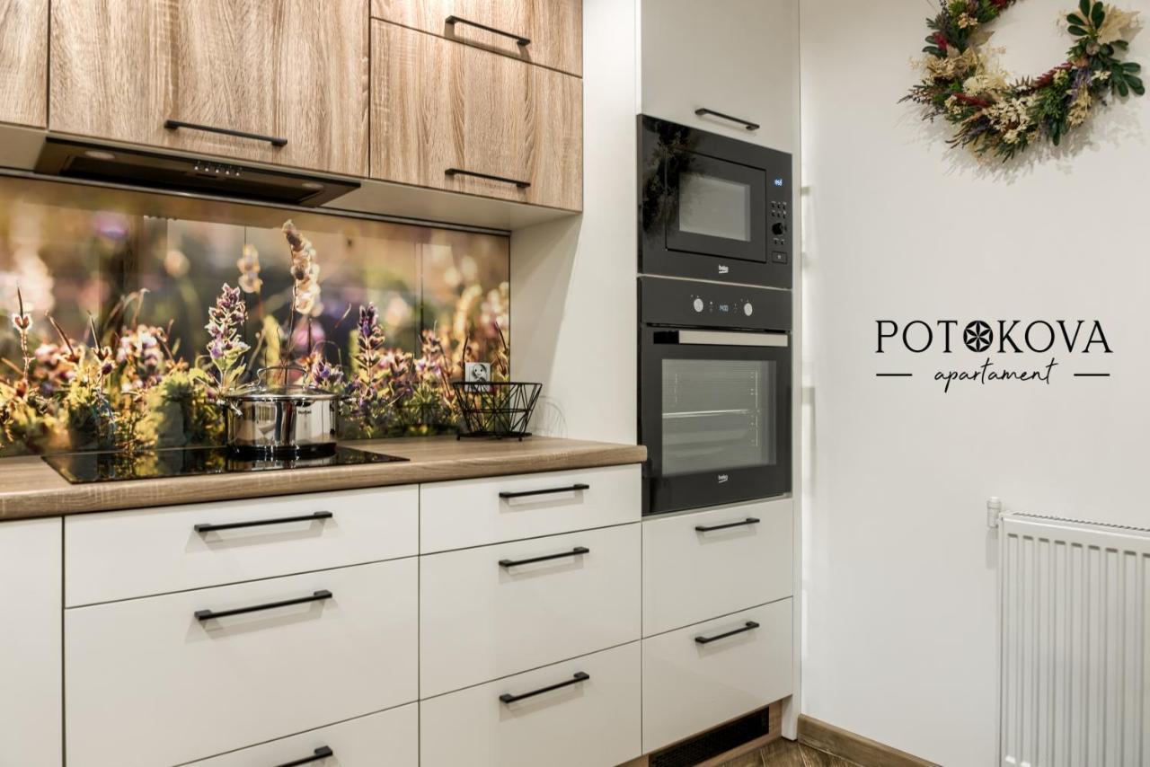 Potokova Apartament Centrum Закопане Экстерьер фото