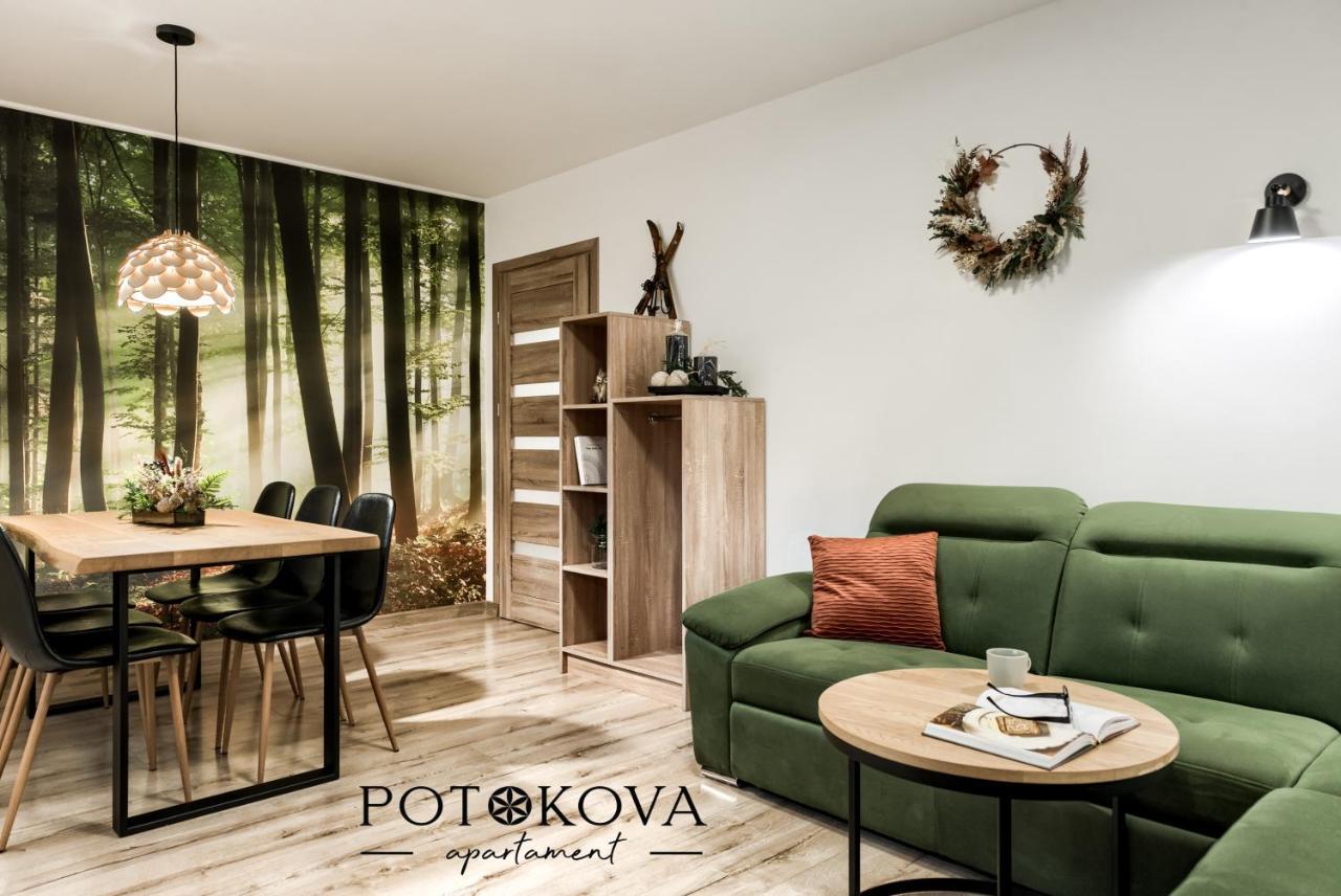Potokova Apartament Centrum Закопане Экстерьер фото